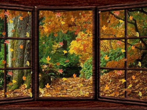 fall-window-replacement